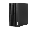 【新品上市】PRO DP21 14M-248BTW桌上型電腦 (準系統)