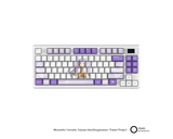 【限量預購登記】MSI FORGE TKL WIRELESS FRIEREN EDITION 微星電競鍵盤