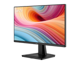 【新品】MSI PRO MP225 E12VL 微星專業護眼顯示器 ( VA / 120Hz / 1ms / 300尼特 )