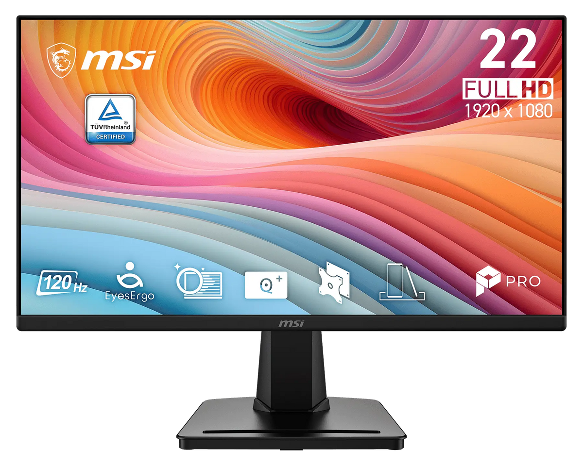 【新品】MSI PRO MP225 E12L 微星專業護眼顯示器 (IPS / 120Hz / 1ms / 300尼特)